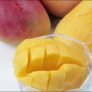 망고 PC방 이미지