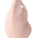 버티칼 마우스 추천 아이리버 제녹스 버티칼마우스 사용후기