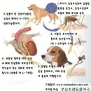 부산초량동물약국 이미지