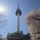[6편] 2026년4월7일 화요일 서울 남산을 다녀와서! 이미지