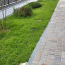 BALBARI(발바리) 이미지