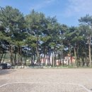 송정솔바람해변3 이미지