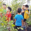 진영리라어린이집 이미지