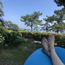 솔바람 파도소리 이미지