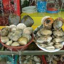 씨사이드모텔 이미지