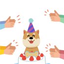 내새끼 펫 이미지