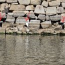 천하 태권도 | 일본 오사카 아이와 여행 <오사카성 천수각> 고자부네 뱃놀이 / 아이스크림 자판기