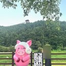 새재리아 이미지