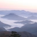 태백산목장 이미지