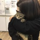 정방프라자 이미지