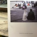 딱히 기준이 없는 내 취향 뒤죽박죽 짤털 이미지