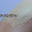 플로리스 이미지