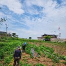 서수농장 이미지