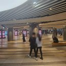 복식당 | 잠실역 점심 맛집 찾는다면? 진고복식당 찐 후기🍴