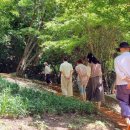 치유의숲 이미지