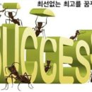 법무사이종필사무소