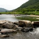 징검다리 이미지