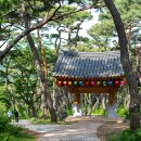 봉곡사 - 1669 | 700m의 소나무숲으로 이루어진 충남 아산 봉곡사