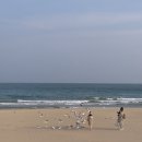 📚추천 재태크 도서 목록 49권(주식, 부동산, 마인드셋)