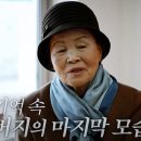 꼬리에꼬리를무는닭