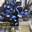 멍즈니랜드 | 우린 흐를 뿐이야