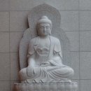 통천사 Daum카페