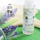 푸리 이미지