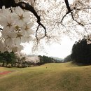 파인리조트 이미지