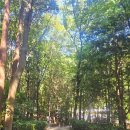 대신공원로 이미지