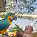 지안농장 이미지