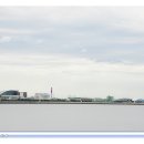 송도갈매기 이미지