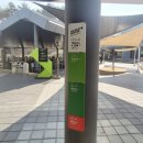 발개로 | 통영 가볼만한곳 통영여행 스카이라인루지 할인정보