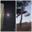성류굴주유소 이미지