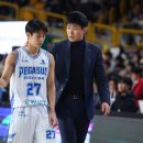 강채에너지 바스켓코리아