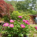 지리산시골집 이미지