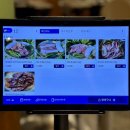 신기역 4번 신기중학교 앞(1) | [반야월맛집] 대구혁신도시맛집 옹고집, 제주산 고기 먹고 반했어요