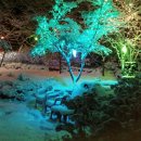 퇴촌 낭만펜션 이미지