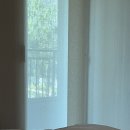 [공지] 나으ㅣ프러포즈 데이