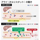 변실금 등의 부작용도. 신발매 '체중감소' 약의 실력은? 이미지