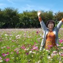 태진목장 이미지