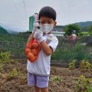 상지유치원 이미지