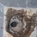 중산마을 화장실 이미지