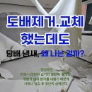공공용 83 | 서울 쓰레기집 청소 담배 냄새부터 위생까지 완벽 해결! 서강크린특수청소 후기