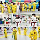 용인대 새빛 태권도장 이미지