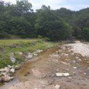 울진공인행정사 이미지