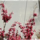 우와호와성 이미지