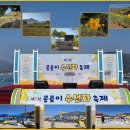 예구항 이미지
