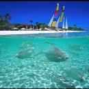 엠제이(MJ)인터내셔널 이미지