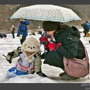 송어축제 이미지