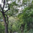 백암산(白巖山) 백양사(白羊寺) / 장성